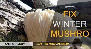 The Ultimate Guide to Fixing Winter Mushrooms