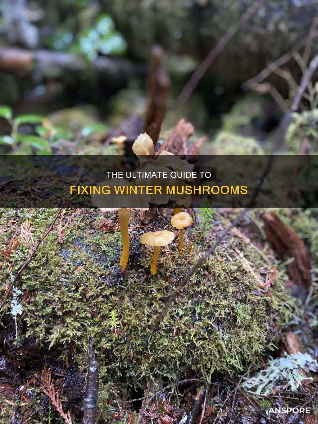 how to fix winter mushroom