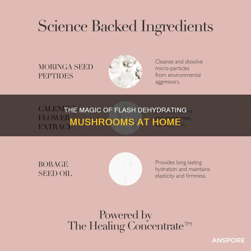 how to flash dehydrate mushrooms
