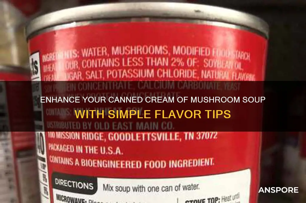 how to flavor canned cream of mushroom soup