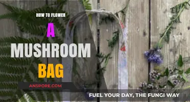 Mastering Mushroom Cultivation: How to Flower Your Mushroom Bag