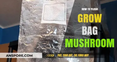 Flushing Grow Bag Mushrooms: A Simple Guide for Optimal Harvest