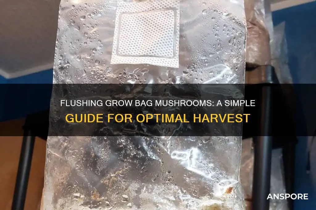 how to flush grow bag mushroom