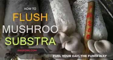 Flushing Mushroom Substrate: A Step-by-Step Guide
