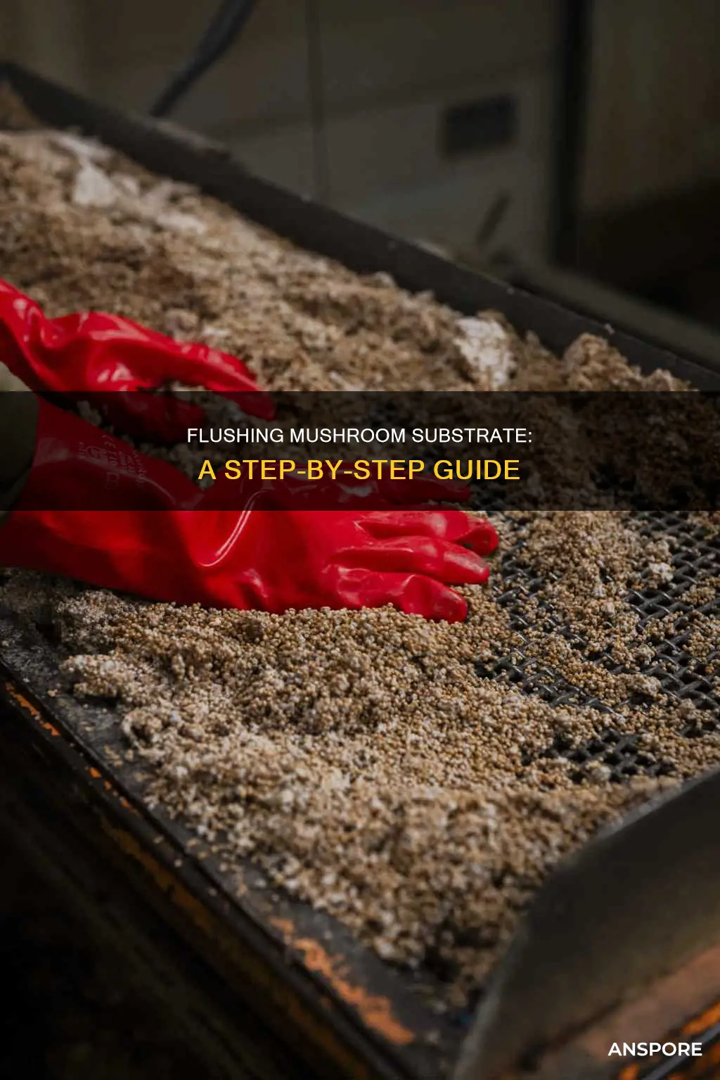 how to flush mushroom substrate