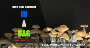 Flushing Mushrooms in a Bag: A Simple Step-by-Step Guide