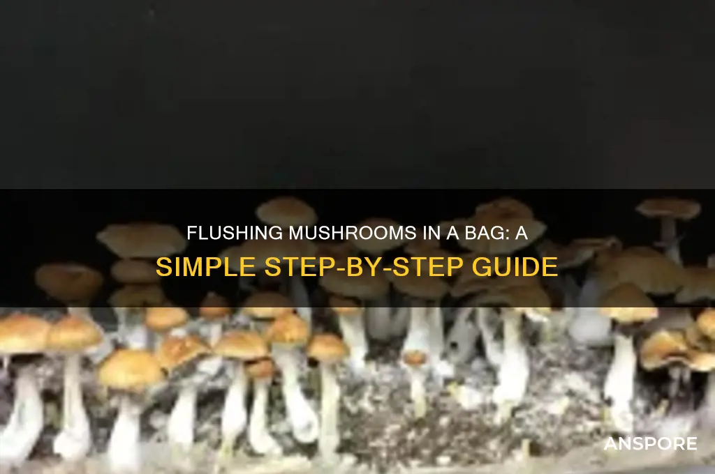 how to flush mushrooms in a bag