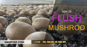The Ultimate Guide: Flushing Mushrooms