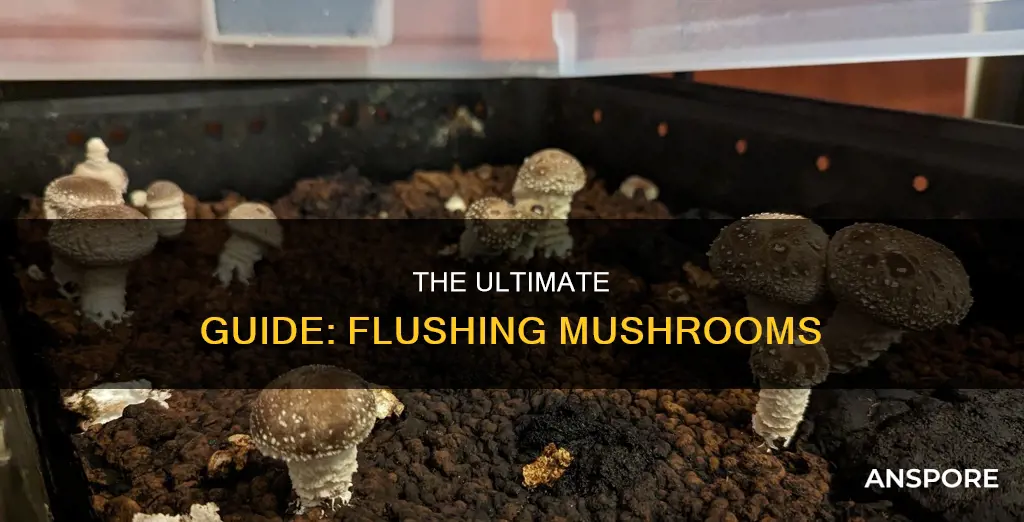 how to flush mushrooms