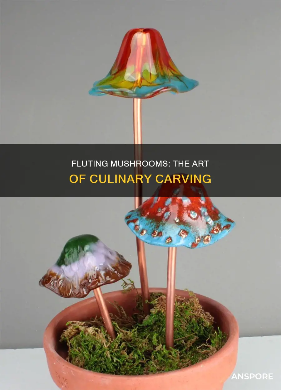 how to flute a mushroom