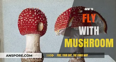 Traveling with Magic Mushrooms: A Guide to Flying High