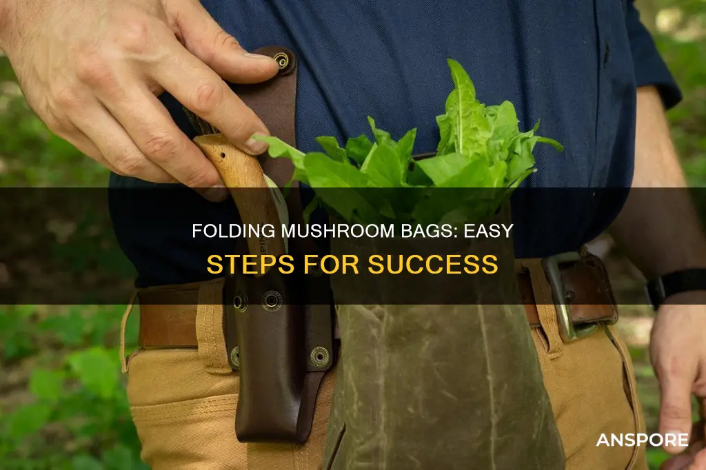 how to fold mushroom bag