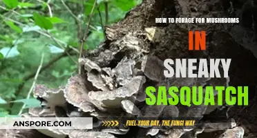Master Mushroom Foraging in Sneaky Sasquatch: Tips and Tricks