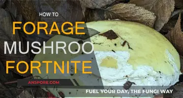 Foraging Mushrooms in Fortnite: A Beginner's Guide