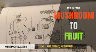 Mastering Mushroom Cultivation: Proven Techniques to Induce Fruiting Successfully