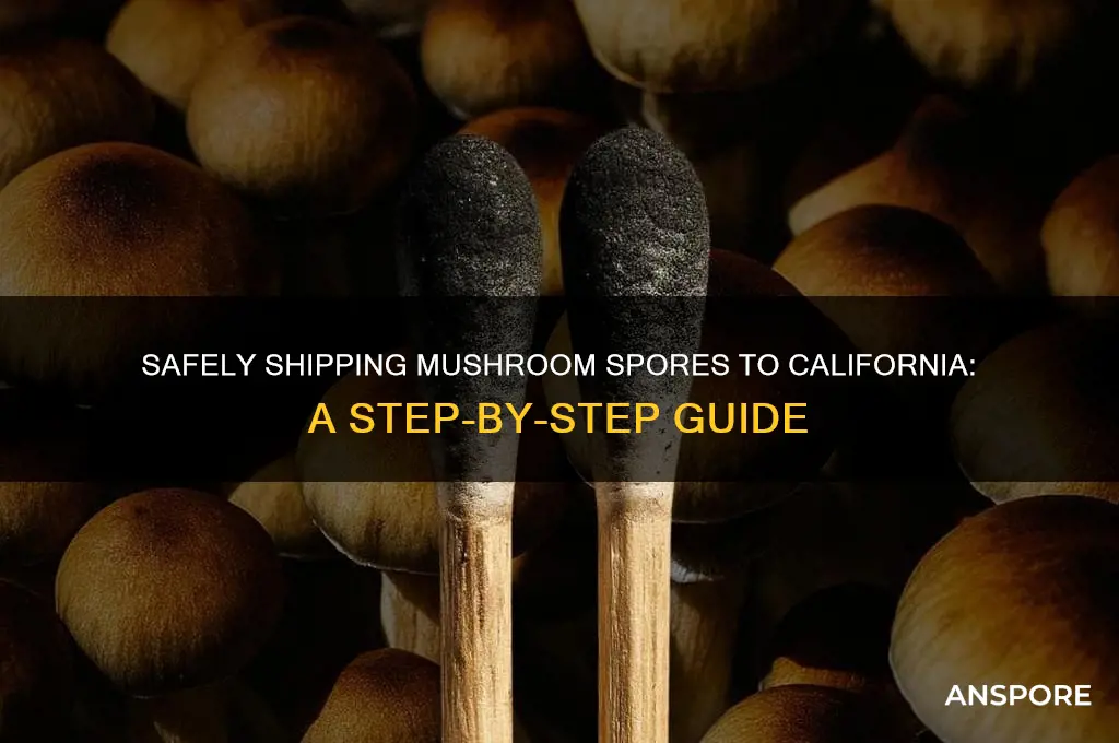 how to forward mushroom spores to california
