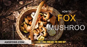 Grow Your Own Mushrooms: A Step-by-Step Guide