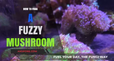 Mastering the Art of Fragging Fuzzy Mushrooms: A Step-by-Step Guide