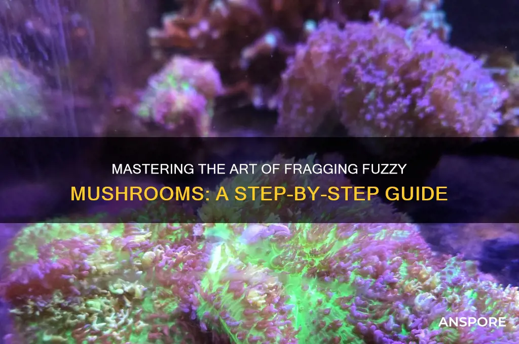 how to frag a fuzzy mushroom