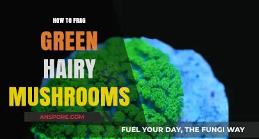 Mastering Fragging Techniques for Green Hairy Mushrooms in Aquariums