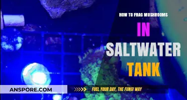 Fragging Mushrooms in Saltwater Tanks: A Step-by-Step Guide