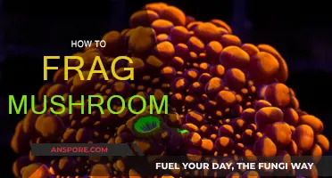 The Art of Mushroom Fragging: A Step-by-Step Guide