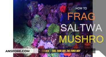 Saltwater Mushroom Fragging: A Step-by-Step Guide