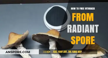 Effective Strategies to Free Vithrack from Radiant Spore Infestation