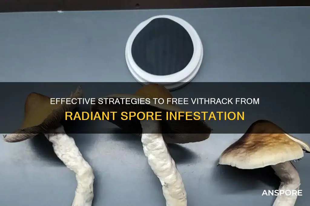 how to free vithrack from radiant spore
