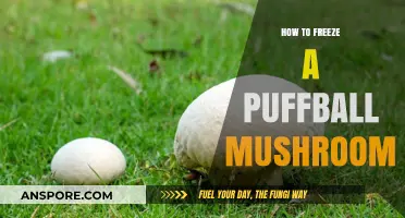Mastering the Art of Freezing Puffball Mushrooms for Longevity