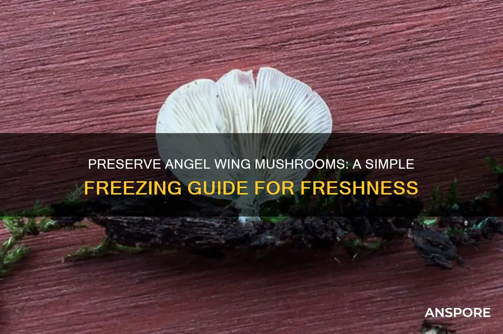 how to freeze angel wing mushrooms