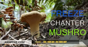 Freezing Chanterelles: A Guide to Preserving Your Mushroom Haul