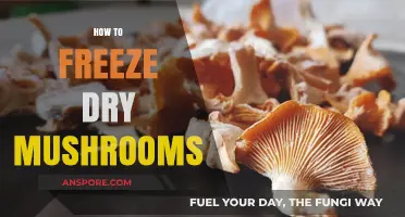 Freeze-Drying Mushrooms: A Step-by-Step Guide to Success