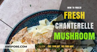 Preserve Chanterelle Mushrooms: A Guide to Freezing Fresh Harvests