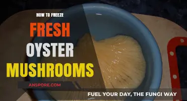Preserve Oyster Mushrooms: A Guide to Freezing Fresh Harvests