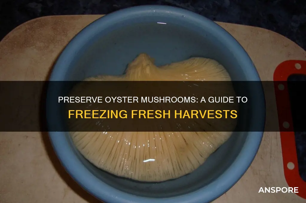 how to freeze fresh oyster mushrooms