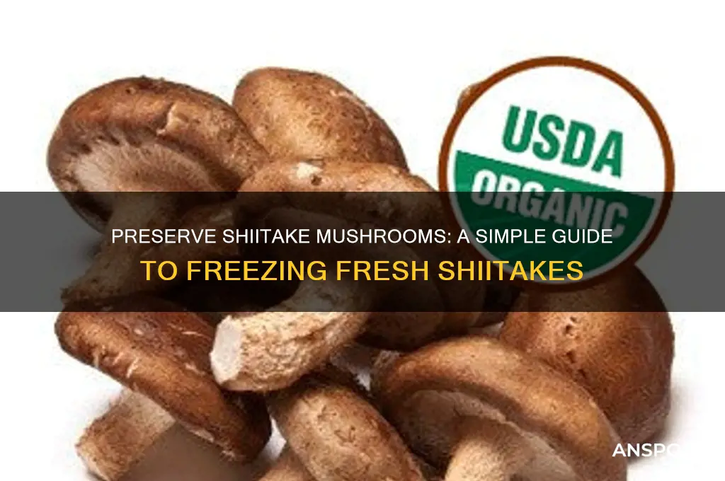 how to freeze fresh shiitake mushrooms