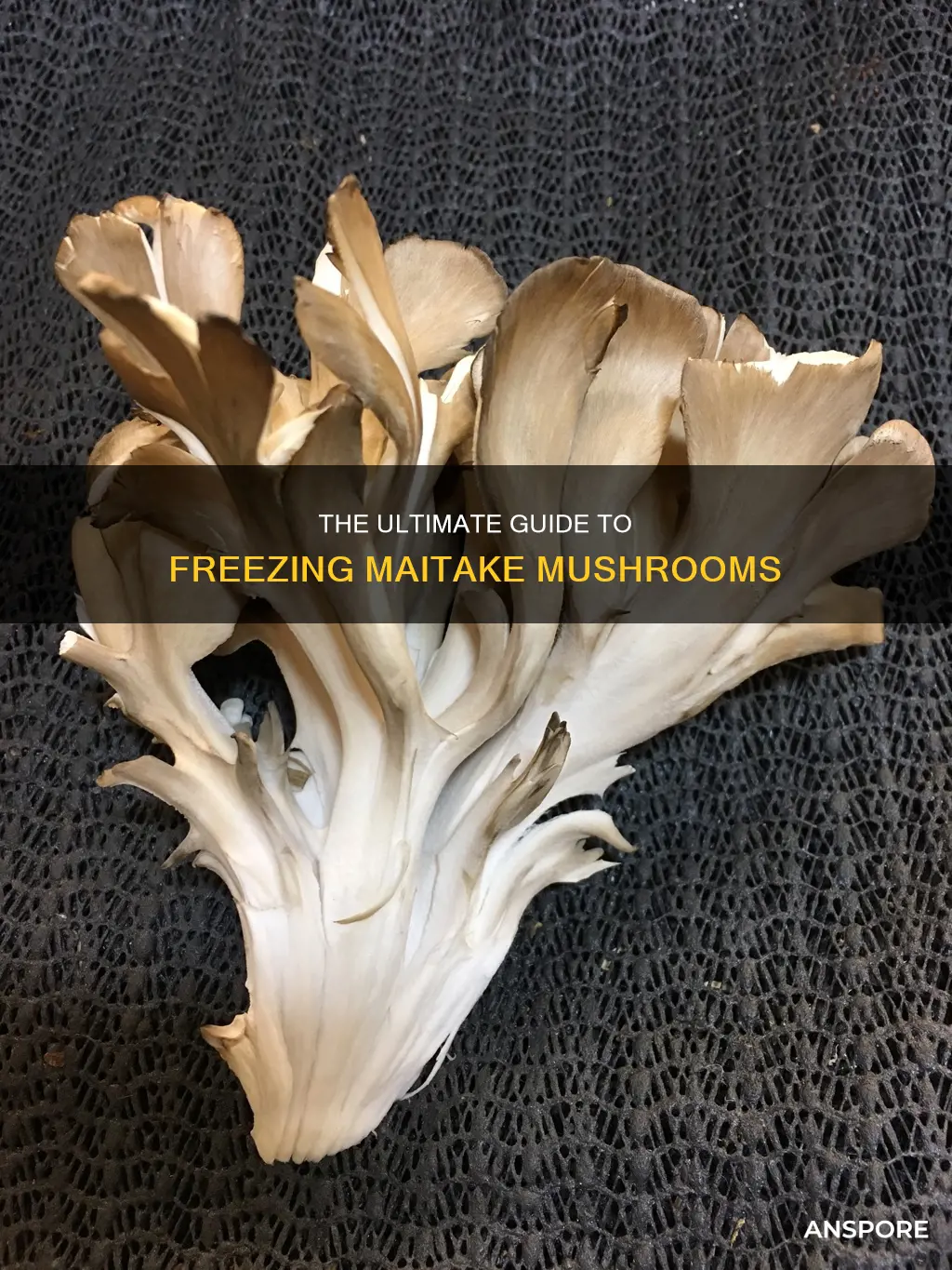 how to freeze maitake mushrooms