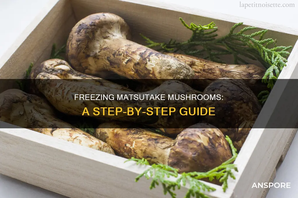how to freeze matsutake mushrooms
