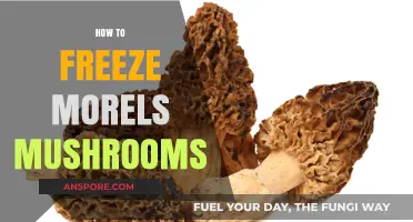 Mastering Morel Preservation: A Guide to Freezing Morel Mushrooms