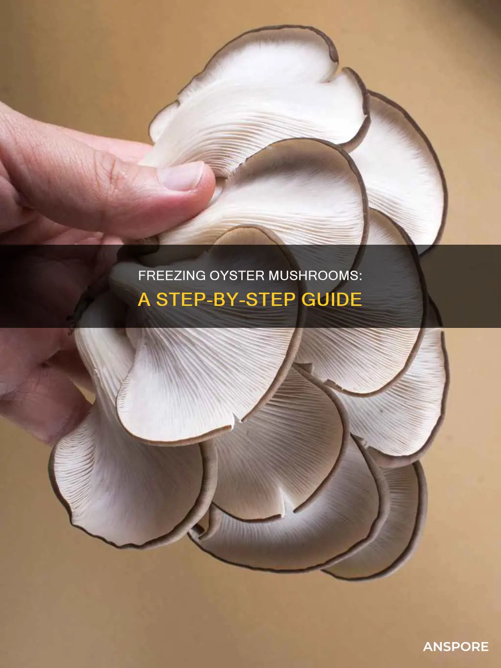 how to freeze oyster mushrooms