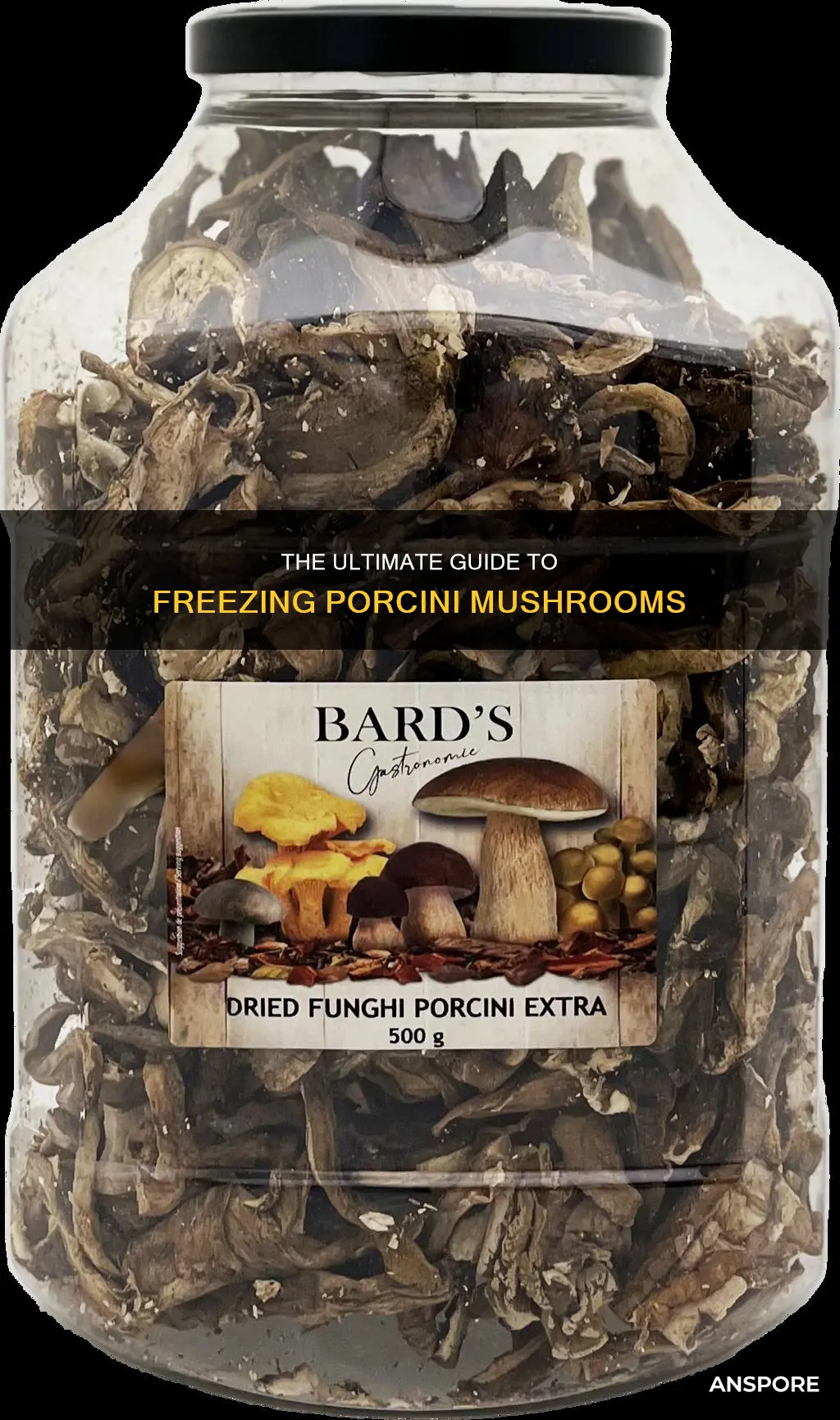 how to freeze porcini mushrooms