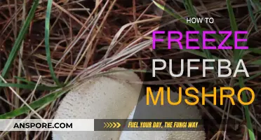 The Ultimate Guide to Freezing Puffball Mushrooms