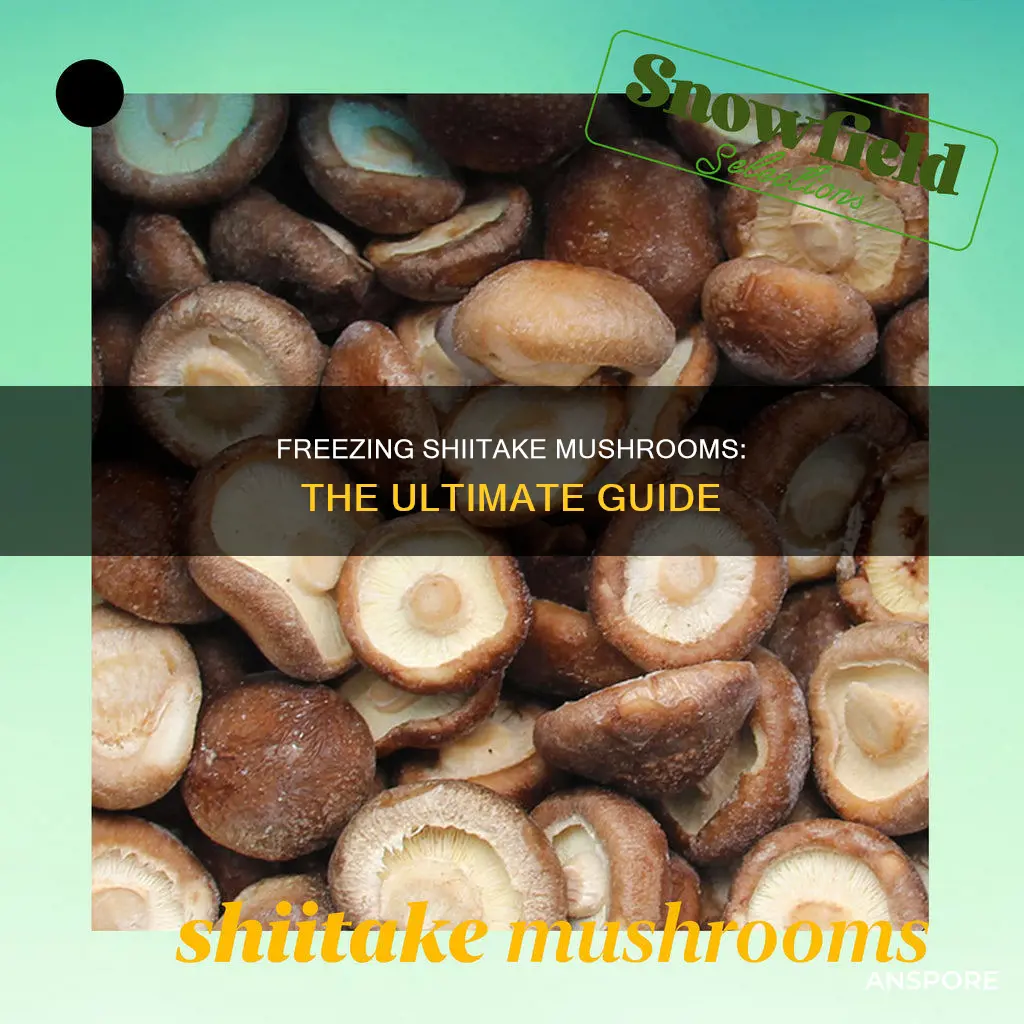 how to freeze shitake mushrooms