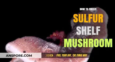 Preserving Sulfur Shelf Mushrooms: A Step-by-Step Freezing Guide