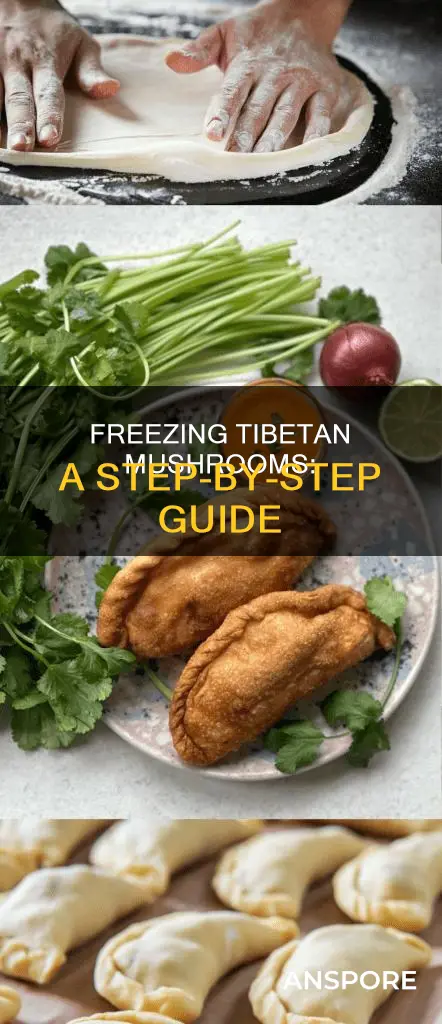 how to freeze tibetan mushroom