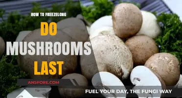 How Long Do Mushrooms Last? Freezing Tips for Freshness