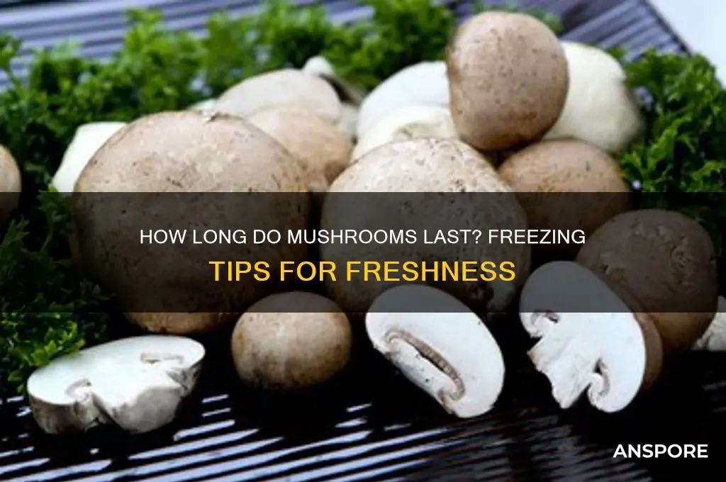 how to freezelong do mushrooms last