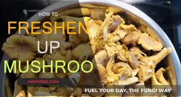 Fresh Mushrooms: The Ultimate Guide to Revitalizing Them