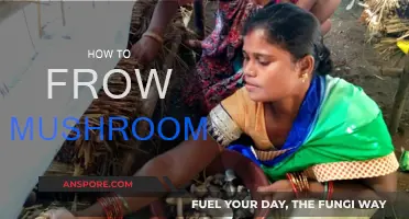 Grow Your Own Mushrooms: A Step-by-Step Guide